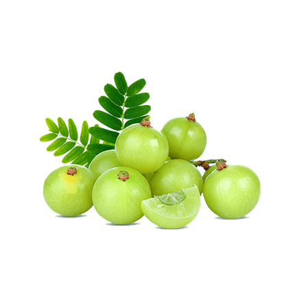 Amla (Emblica officinalis)