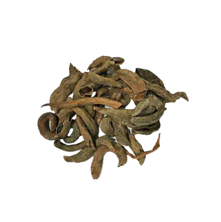 Kakadashing (Pistacia integerrima)