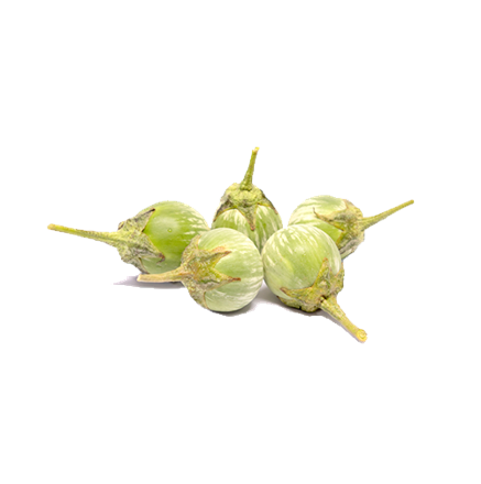 Kantakari (Solanum xanthocarpum)
