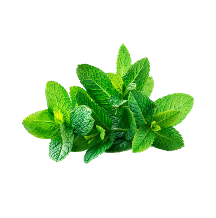 Menthol (Pudina satva)