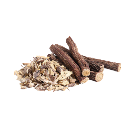 Mulethi (Glycyrrhiza glabra)