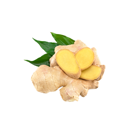 Sunth (Zingiber officinale)